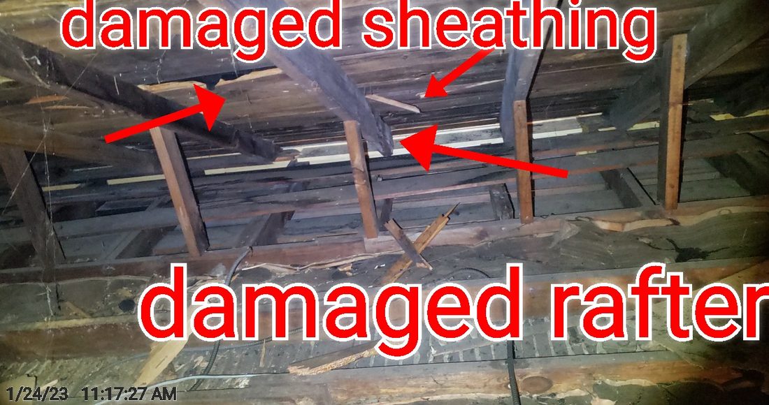 Damaged roof sheathing and a damaged rafter in the attic