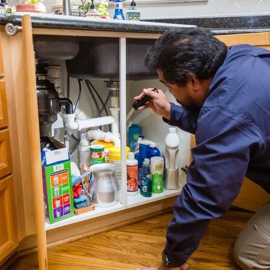 Mold discovered in attic